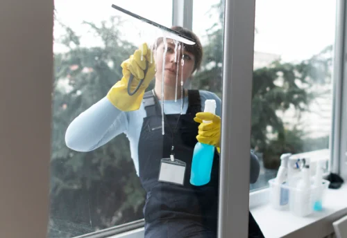 Nettoyage de vitres intérieures et extérieures à Civray-de-Touraine